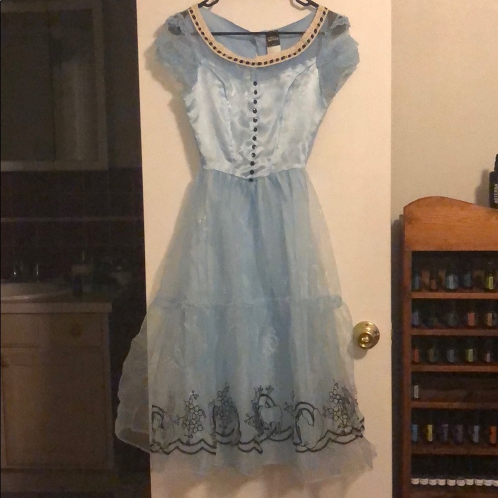 Disney Alice in Wonderland Costume